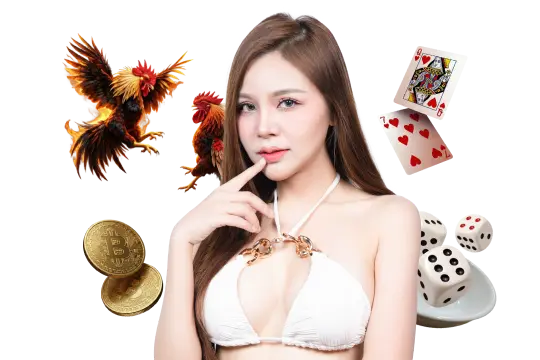 twin68 hỗ trợ thành viên 24/7